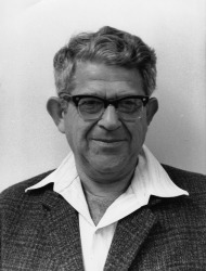 אברהם נגב