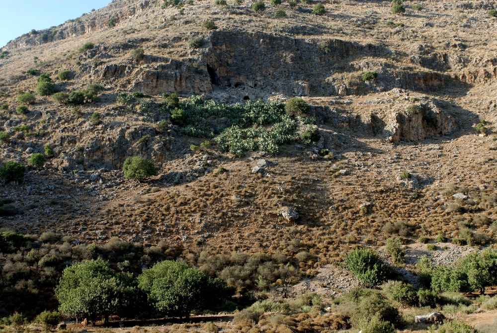 מבט מכיוון דרום לעבר המערה, צילום: נפתלי הילגר