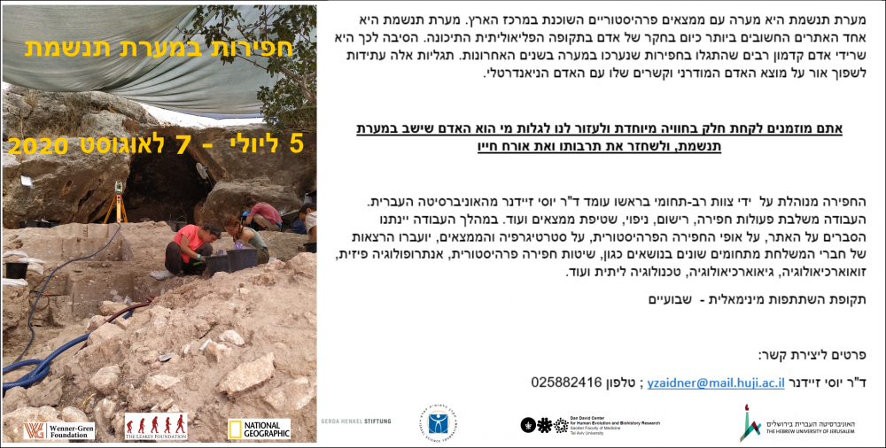 חפירה במערת תנשמת