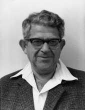 אברהם נגב