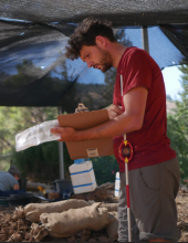 קמי