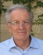 ישראל לי לווין